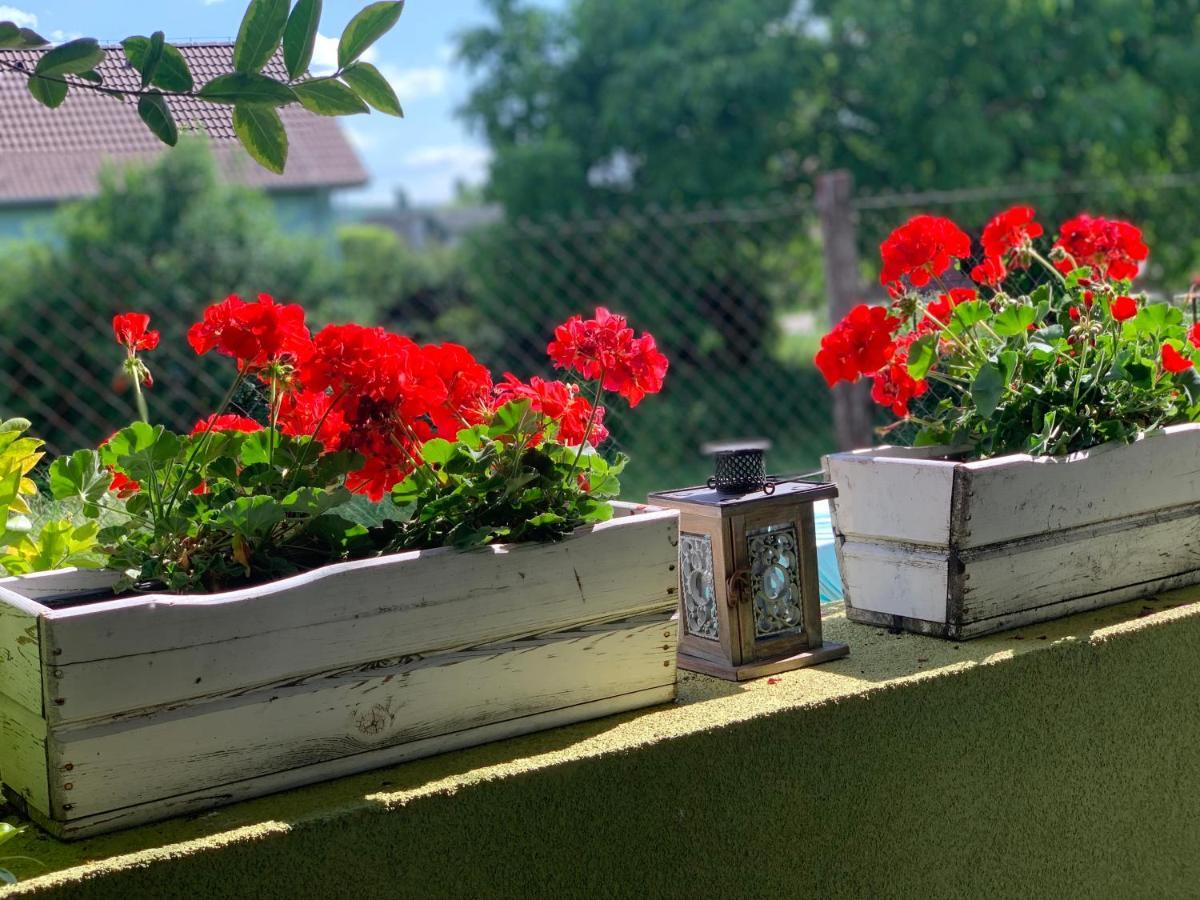 Apartmany Zeleny Dom Podhájska 외부 사진